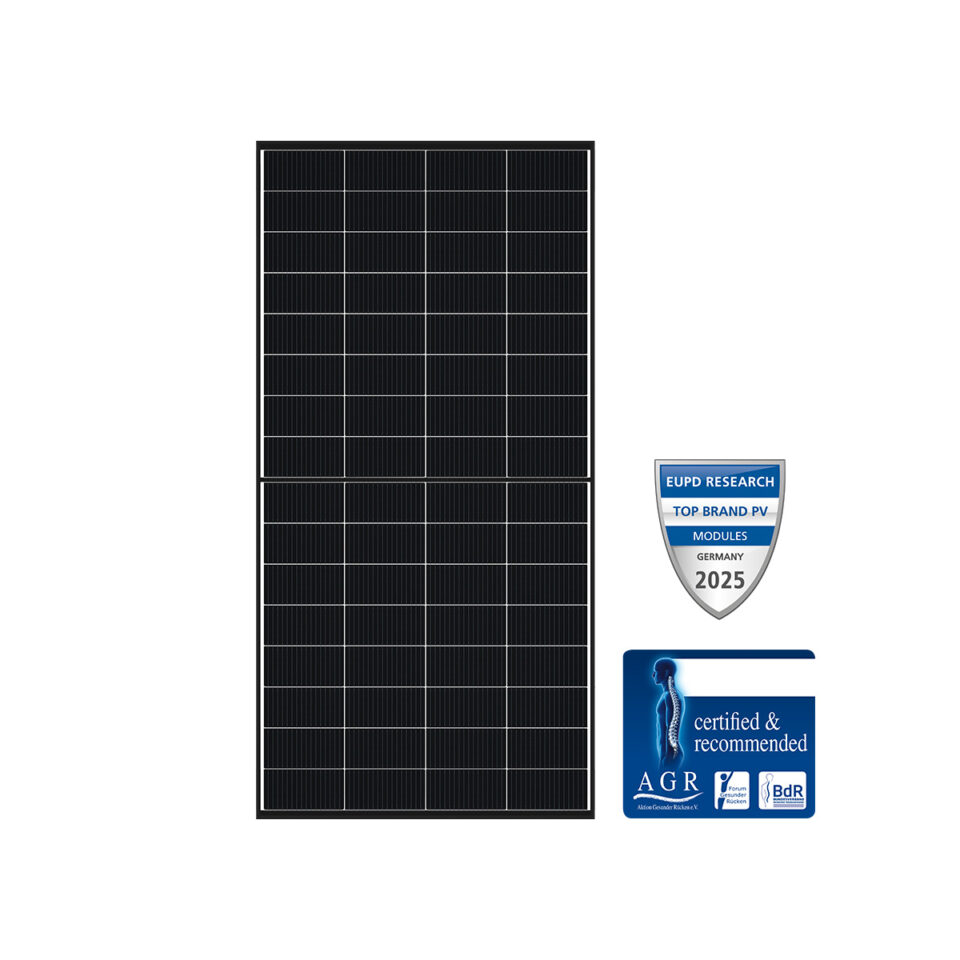 DMEGC DM265M10T-B32HBT Doppelglas-Solarmodul transparent Infinity
