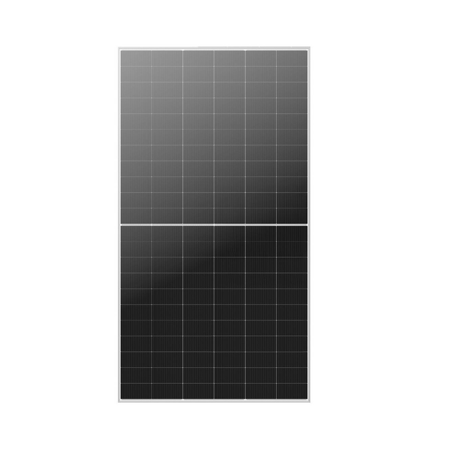 DMEGC DM630G12RT-B66HSW 630Wp | Glas-Glas | Silber-Weiß