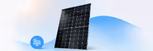 Solarmodule vor untergehender sonne