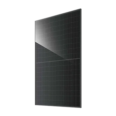 JA Solar JAM54D41-465/LR - 465 Wp Solarmodul Komplett Schwarz Doppelglas